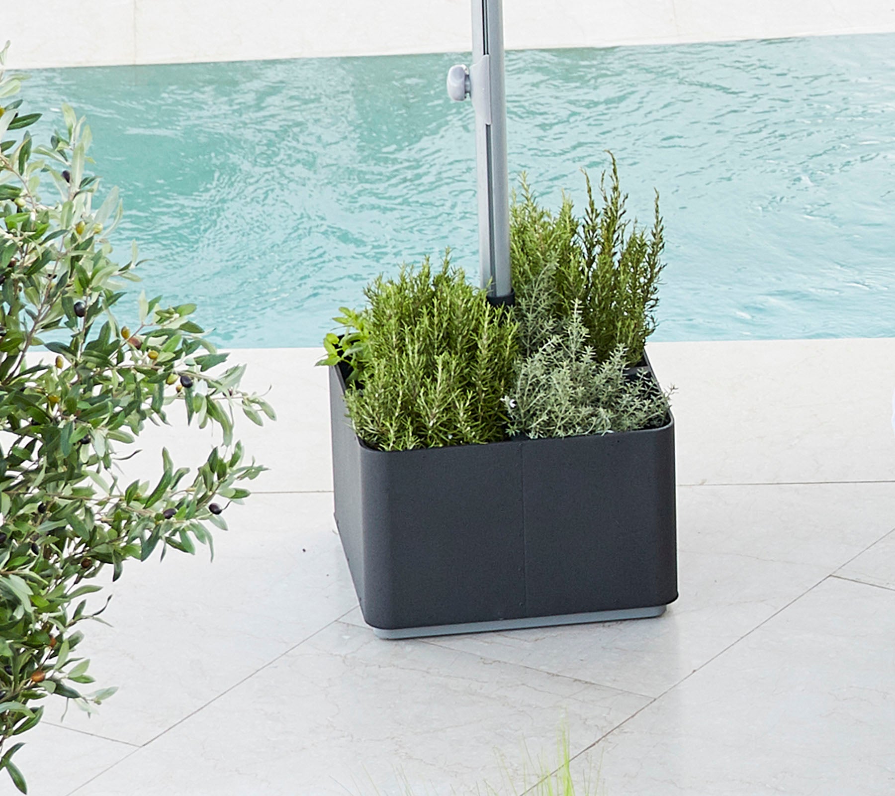 Planter filled with vibrant greenery, featuring various plants, placed beside a body of water, providing a fresh, serene atmosphere.