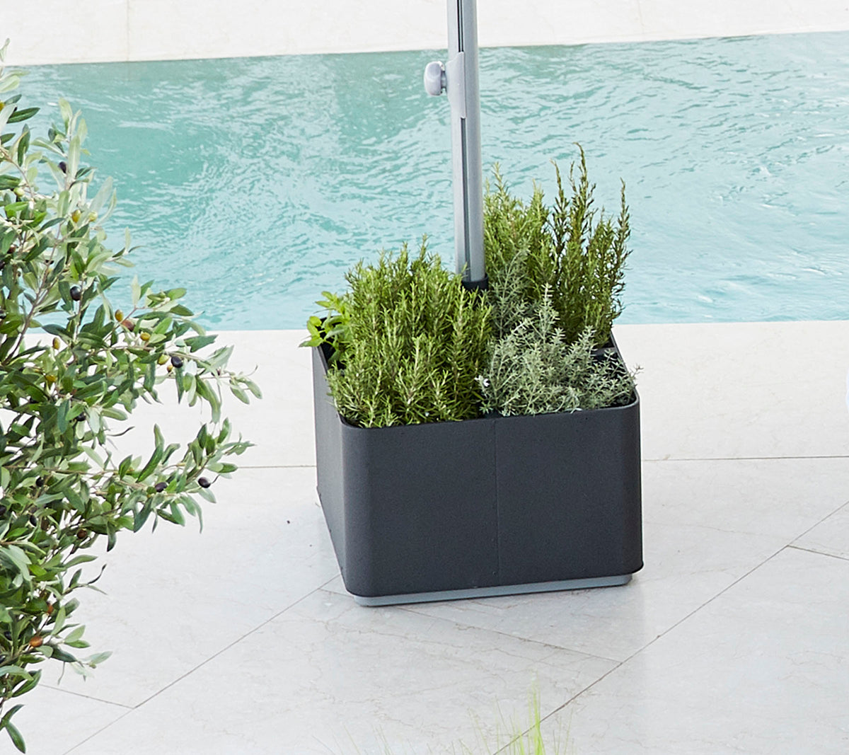 Planter filled with vibrant greenery, featuring various plants, placed beside a body of water, providing a fresh, serene atmosphere.